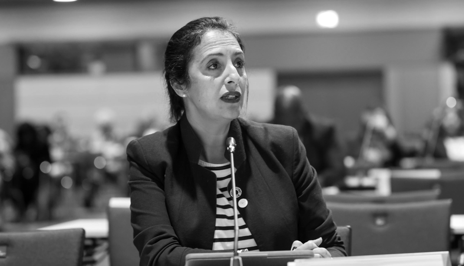 Minister Zakia Khattabi Post image