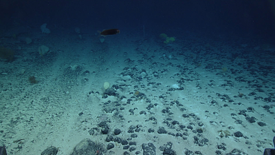 How Deep-Sea Mining Stirs Up the Ocean Floor and What Scientists Are Learning from It Post feature image