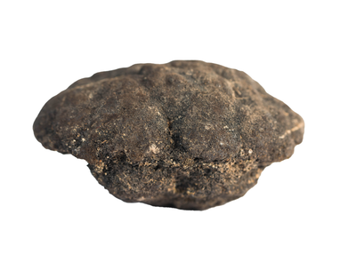 Inside a Polymetallic Nodule Tag image
