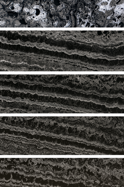 What Controls the Chemistry of Seafloor Metal Nodules Post feature image